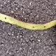A metal strip not belonging to Concorde that was found next to the runway after AF 4590 departed. Investigators believe it was this debris that punctured the SST’s tire. (BEA)